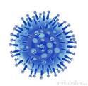 Flu virus